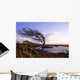 Connemara, Co Galway, Ireland Wall Mural