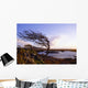 Connemara, Co Galway, Ireland Wall Mural