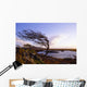 Connemara, Co Galway, Ireland Wall Mural