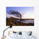 Connemara, Co Galway, Ireland Wall Mural