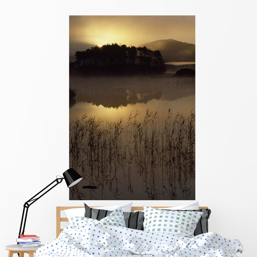 Lough Derryclare, Co Galway, Ireland Wall Mural