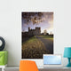 Kilkea Castle, Co Kildare, Ireland Wall Mural