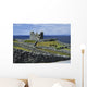 Inisheer, Aran Islands, Co Galway, Ireland Wall Mural