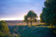 Rural North Dakota Landscape Wall Decal