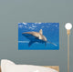 Longimanus