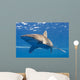Longimanus