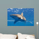Longimanus