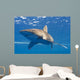 Longimanus