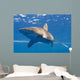 Longimanus