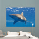 Longimanus