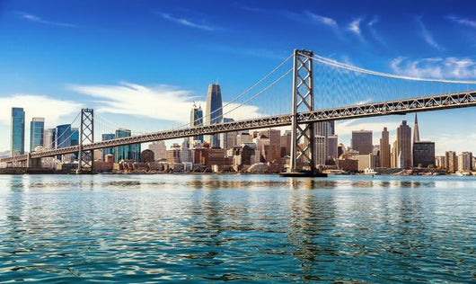 Downtown San Francisco Wall Decal