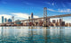 Downtown San Francisco Wall Decal