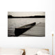 Canoe At Dock, Lake Of The Woods, Ontario, Canada Wall Mural