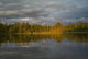 Lake Of The Woods, Ontario, Canada Wall Mural
