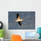 American White Pelican Wall Mural