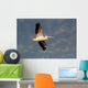 American White Pelican Wall Mural