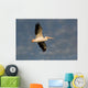 American White Pelican Wall Mural