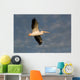 American White Pelican Wall Mural