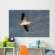 American White Pelican Wall Mural