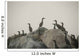 Birds On Rocks Wall Mural