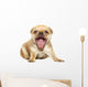 Chihuahua Dog on White Background Wall Decal