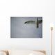 Seagull Wall Mural