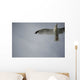 Seagull Wall Mural