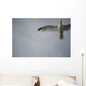 Seagull Wall Mural