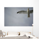Seagull Wall Mural