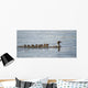 Duck And Ducklings Swimming In A Row Wall Mural