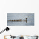 Duck And Ducklings Swimming In A Row Wall Mural