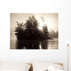 Lake Of The Woods, Ontario, Canada Wall Mural