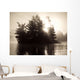 Lake Of The Woods, Ontario, Canada Wall Mural