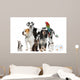 Pets Standing Front White