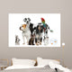 Pets Standing Front White
