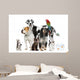 Pets Standing Front White