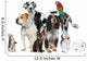 Pets Standing Front White