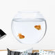 Two goldfish swimming in fish bowl in front of white background Wall Decal