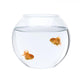 Two goldfish swimming in fish bowl in front of white background Wall Decal