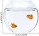 Two goldfish swimming in fish bowl in front of white background Wall Decal