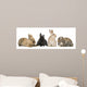 Four Bunny rabbits Wall Decal