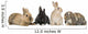 Four Bunny rabbits Wall Decal
