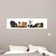 Dogs Sitting Front White