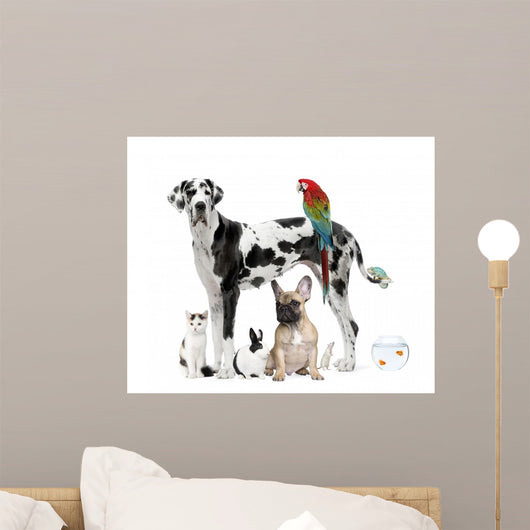 Pets Standing Front White Wall Decal Design 2