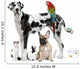 Pets Standing Front White