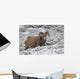 Jasper National Park, Alberta, Canada Wall Mural