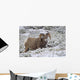 Jasper National Park, Alberta, Canada Wall Mural