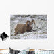 Jasper National Park, Alberta, Canada Wall Mural