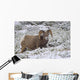 Jasper National Park, Alberta, Canada Wall Mural