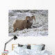 Jasper National Park, Alberta, Canada Wall Mural